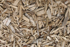biomass boilers Burnhope